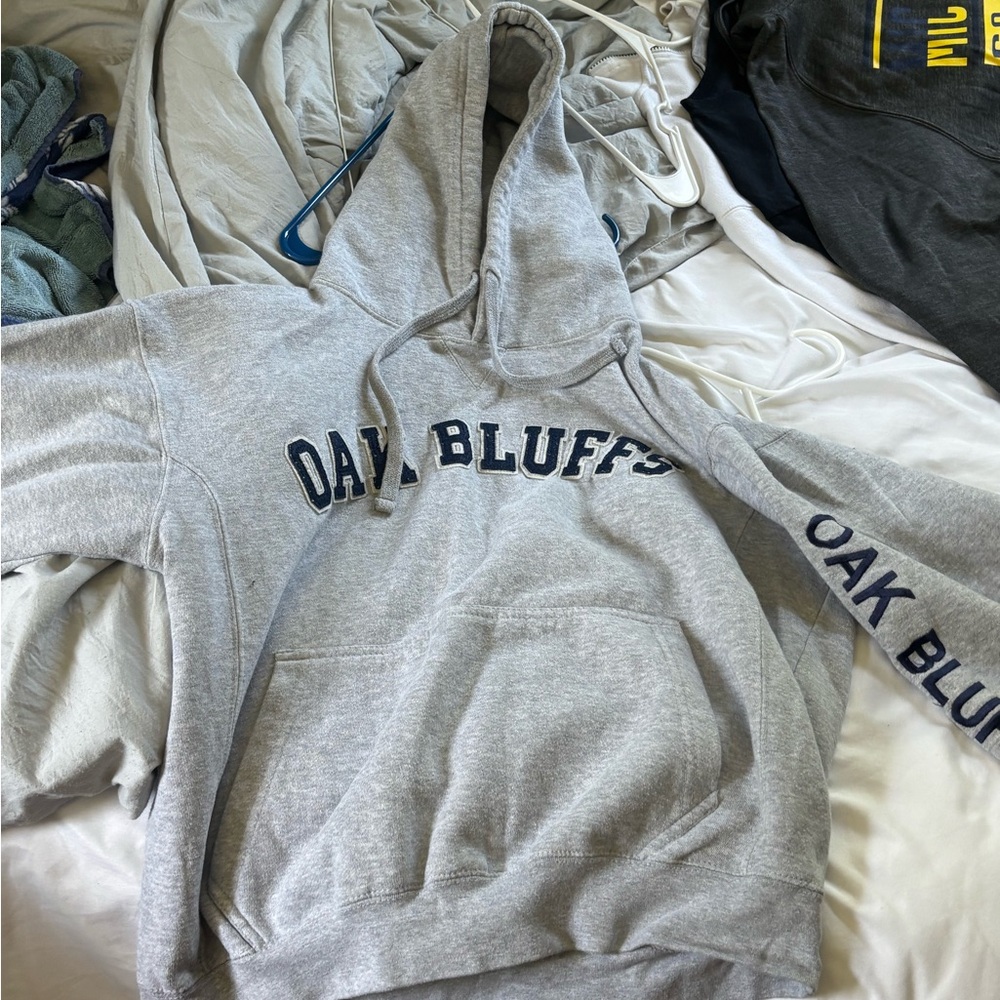 Gray Oak Bluffs Hoodie